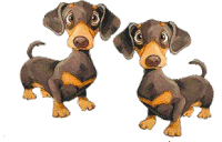 Bassotti Dog Sticker - Bassotti Dog Dogs Stickers