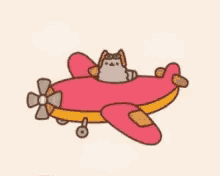 cat flying pilot airplane