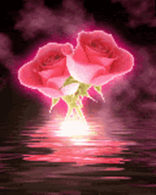Roses Pink Roses GIF - Roses Pink Roses Rose GIFs