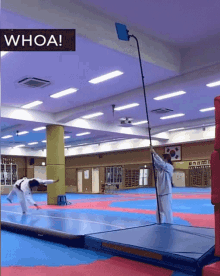 Taekwondo Kick GIF - Taekwondo Kick Flip GIFs