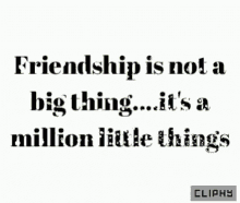friendship love friendship not a big thing a million little things