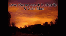 Save The Monark Butterfly Vote Blue GIF - Save The Monark Butterfly Vote Blue GIFs