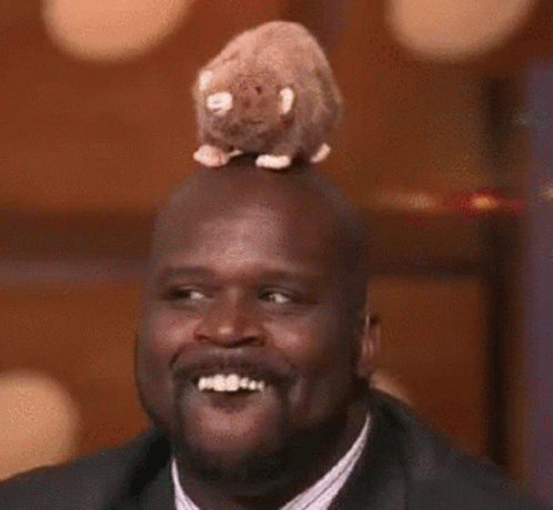 Shaquille O Neal Silly GIF - Shaquille O Neal Silly Funny - Discover & ...