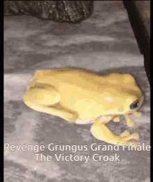 Grungus Frog GIF - Grungus Frog Froge GIFs