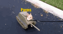 Parms GIF - Parms GIFs