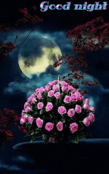Good Night Moon GIF - Good Night Moon Rose GIFs