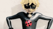 chat chatnoir miraculous miraculousladybug chat chatnoir miraculous miraculousladybug
