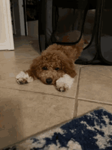 Exhausted Bored GIF - Exhausted Bored Tired GIFs