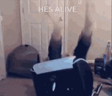 Hes Alive Streamer GIF - Hes Alive Streamer Twitch GIFs