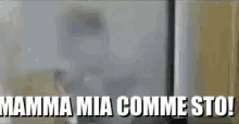 mammamiacommesto enzosalvi mammamiacommesto enzosalvi