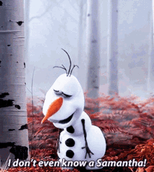 Olaf Frozen GIF - Olaf Frozen Frozen2 GIFs