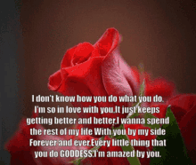 Rose So In Love With You GIF - Rose So In Love With You Love GIFs