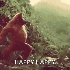 Pohyblivá animace s tancujícím šimpanzem v džungli. 