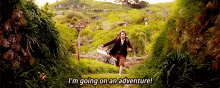 The Hobbit Martin Freeman GIF - The Hobbit Martin Freeman Im Going On An Adventure GIFs