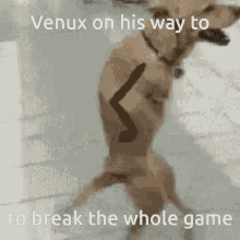 Venux Gekyume GIF - Venux Gekyume Break GIFs