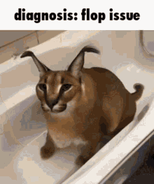 Diagnosis Issue Flop GIF - Diagnosis Issue Flop Flop GIFs