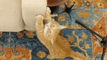 Cat Scratch Fever Get It GIF - Cat Scratch Fever Cat Get It GIFs