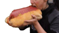 Hot Dog Sandwich Huge Hot Dog Sandwich Sticker - Hot Dog Sandwich Huge Hot Dog Sandwich Bite Stickers