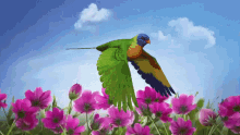 Passarinho Voando Flying Bird GIF - Passarinho Voando Flying Bird Bird GIFs