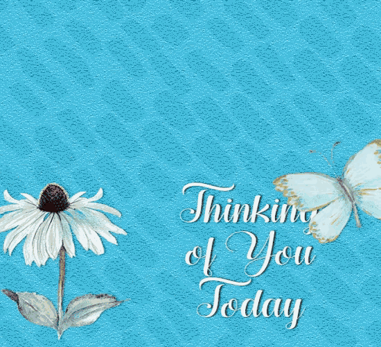 Thinking Of You Thinking Of You Today Gif Thinking Of You Thinking Of You Today Butterfly Discover Share Gifs