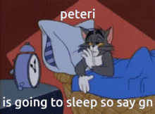 Peteri Peteriman GIF - Peteri Peteriman Sleepy Cat GIFs