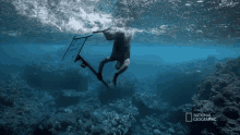 Diving Gordon Ramsay GIF - Diving Gordon Ramsay Gordon Goes Spearfishing For Snapper GIFs