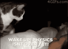 cat wake up physics