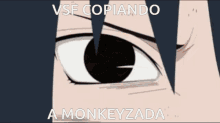 Vsf Monkeyzada GIF - Vsf Monkeyzada Copiando GIFs