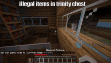 trinity illegal items pool party smp pool party items
