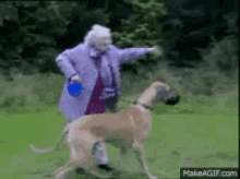 funny dog run old lady