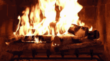 Warm Fire GIF - Warm Fire Flames GIFs