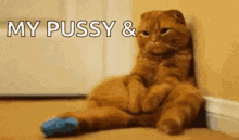 Horny Pussy GIF - Horny Pussy My Pussy And I Miss You GIFs
