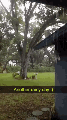 raining rainy day sad tree