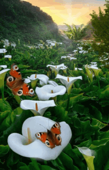 Flower Velley Flower Butterflies GIF - Flower Velley Flower Butterflies Green White GIFs