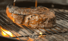 ปิ้ง ย่าง ทำอาหาร GIF - Grill Barbecue Roast GIFs