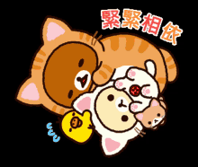 rirakkuma