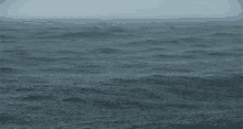 Sea Calm GIF - Sea Calm Quite GIFs