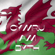 Wales Welsh GIF - Wales Welsh Cymraeg GIFs