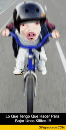 Pig Biking GIF - Pig Biking Omw GIFs