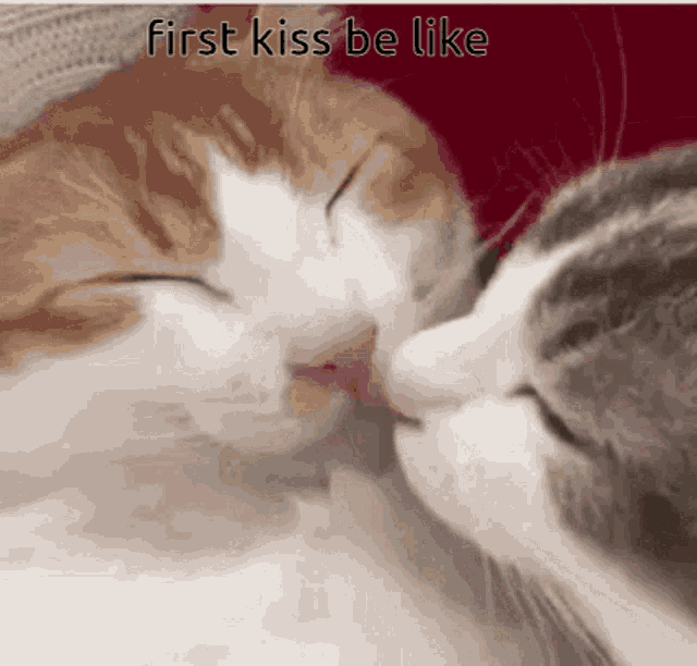 kiss.gif