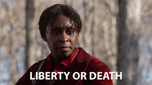 Liberty Or Death Freedom GIF - Liberty Or Death Freedom Fight For It -  Discover &amp; Share GIFs