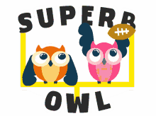 superb owl 49ers superb owl big game football chiefs superb owl