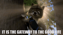 over the hedge rj raccoon it is the gateway to the good life vecinos invasores