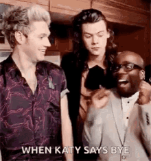 When Katy Says Bye One Direction GIF - When Katy Says Bye One Direction Niall Horan GIFs