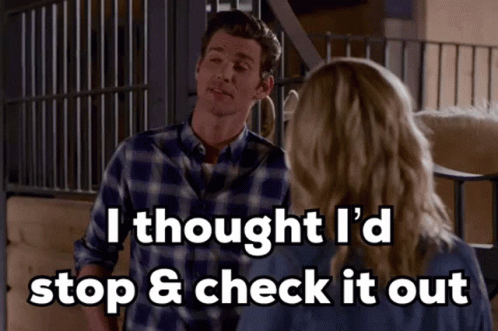 Kevinmcgarry Autumnstables GIF - Kevinmcgarry Autumnstables Check GIFs