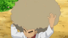 pokemon professor oak afro hair big hair