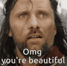 Lord Of The Rings Omg GIF - Lord Of The Rings Omg You Are GIFs