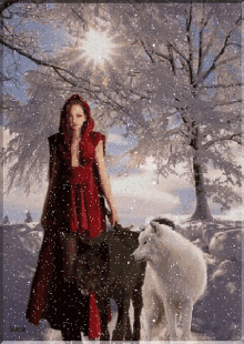 lady wolf snow red riding hood