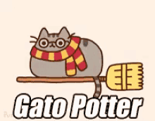 Gato Potter GIF - Gato Potter Escoba Harry Potter GIFs