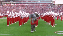 alabama rolltide ab15 marchingband